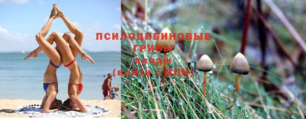 Альфа ПВП Зеленодольск